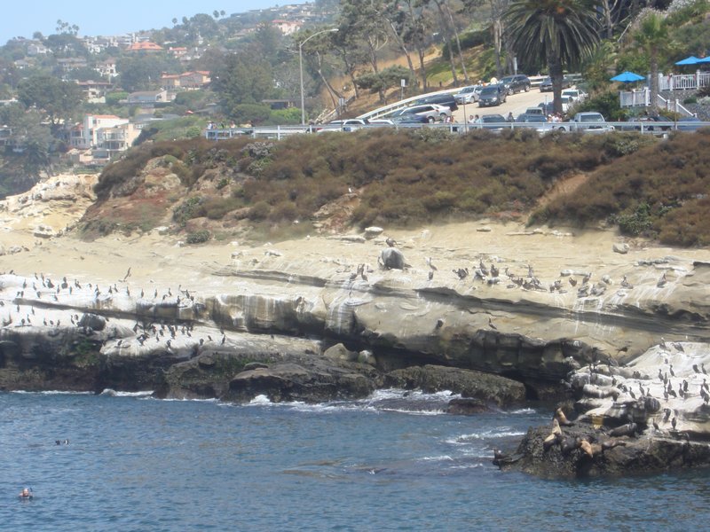 The shores of LaJolla