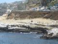 The shores of LaJolla