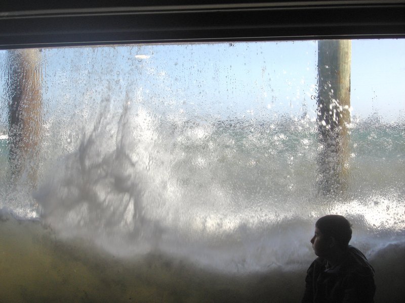 The Ocean View Window