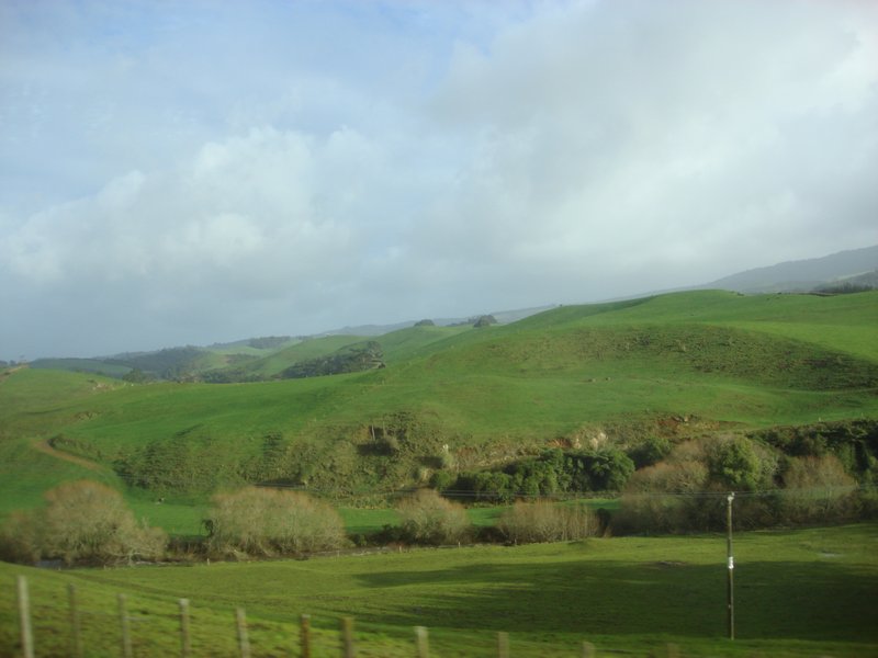 the rolling hills