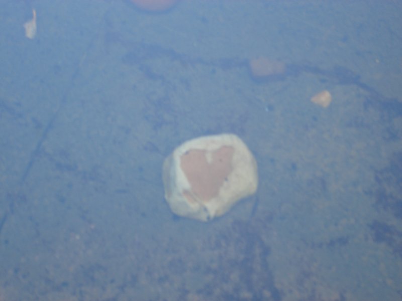 A heart of stone left in the Wallace Rock Water Hole