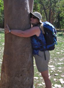 Hug a  tree for a safe climb.