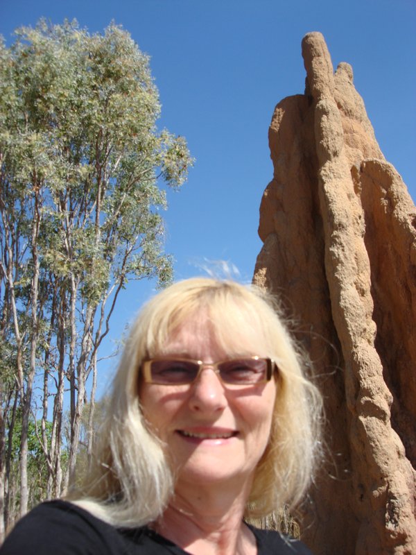A Catherdal Termite mound