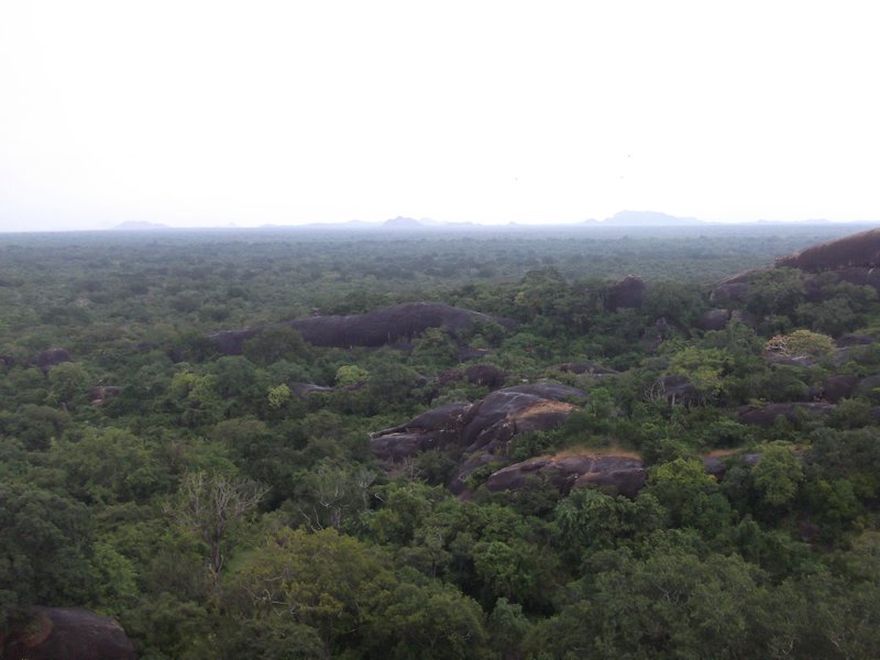top view from Sithul Pawwa 2