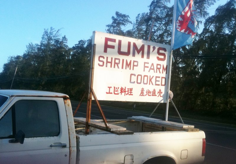 There are shrimp vans all over the North Shore - delicious!