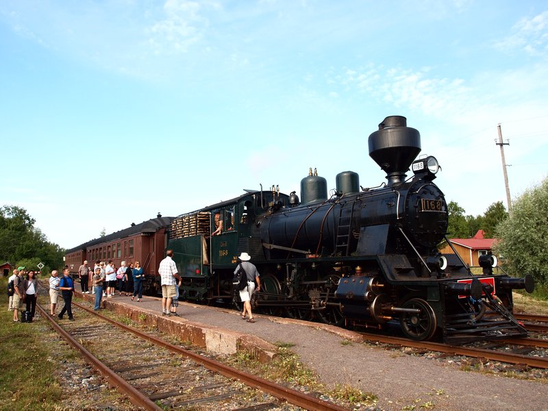 Steam Train - Lili