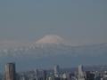 View from the Tokyo Tower of Mount Fuji