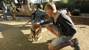 Michael with a Kangaroo - Featherdale Wildlife Park