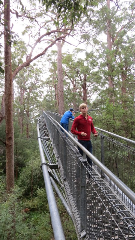 Cindy's Dad and Michael at the Tree Top Walk
