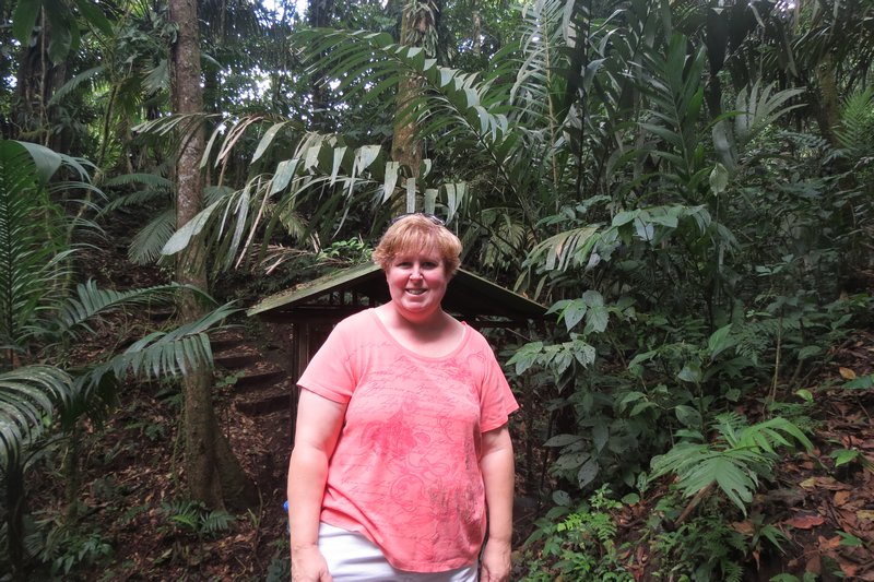 Cindy in the tropical rainforest