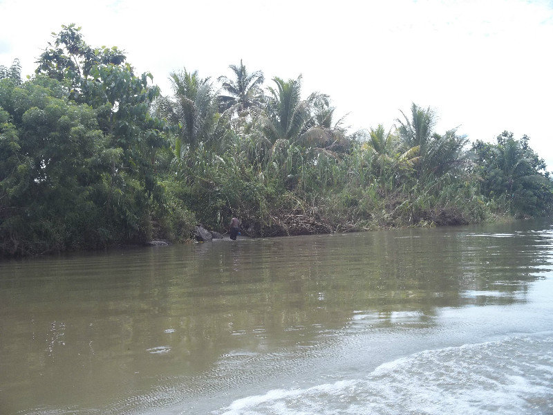 View of the Navua river