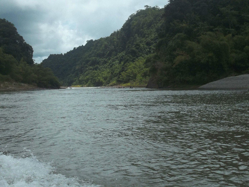 View of the Navua river