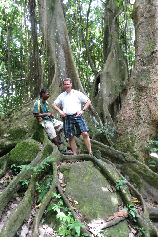 Todd in front of the large tree with a large exposed root base