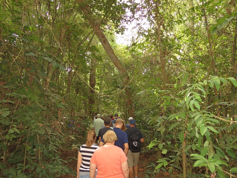 The start of our hike to Củ Chi tunnels