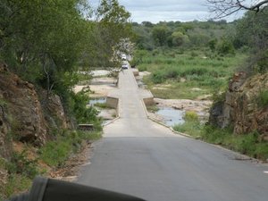 Kruger NP - going across the Sarbhi River