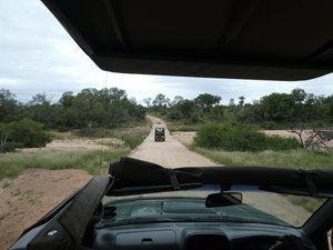 On safari Kruger