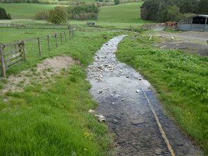 Water stream running through Borthwick Brae Farm