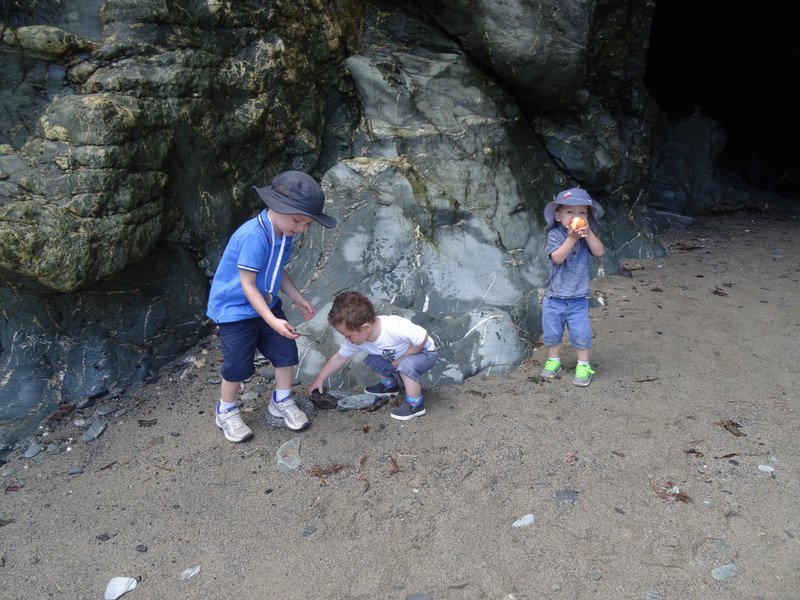 Investigatiom underway at Merlins cave in Tingatel castle
