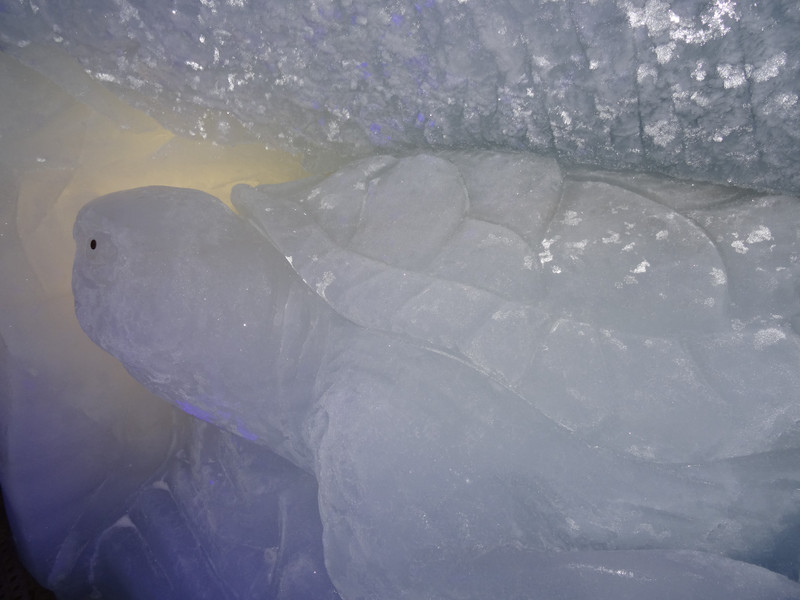 Turtle sculpture in the Ice Grotto