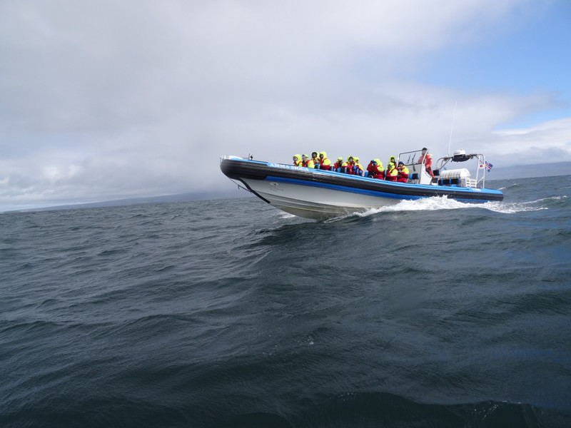 Another rib boat out with us looking for whales