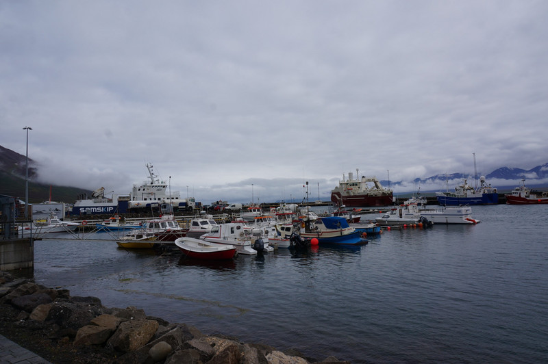 Olafsfjordur Harbour - lots of fishing here!