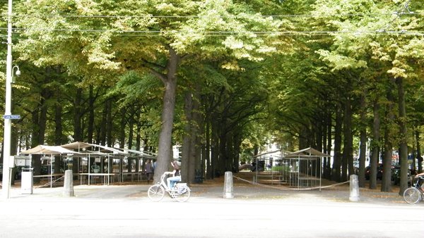 A leafy park outside the Escher Museum and the restaurant