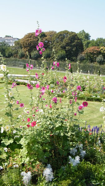 belvedere gardens