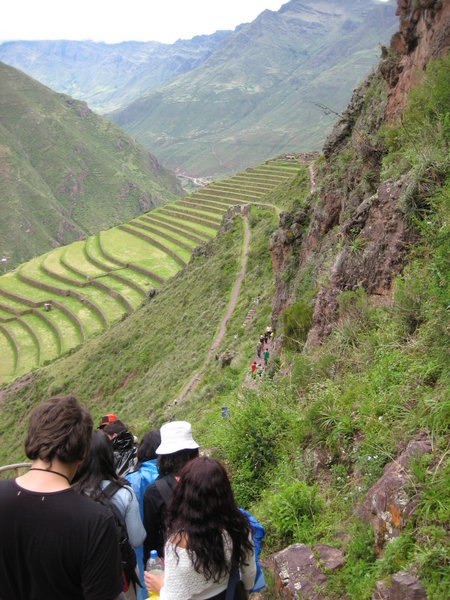 Agricultural terraces