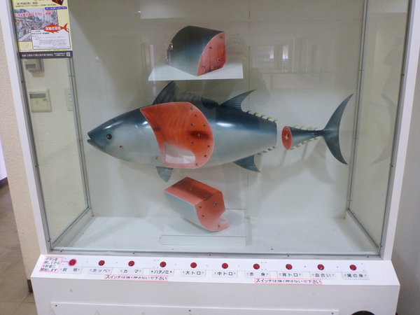 tuna parts educational display