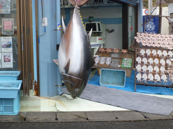 seafood store front in Misaki port town