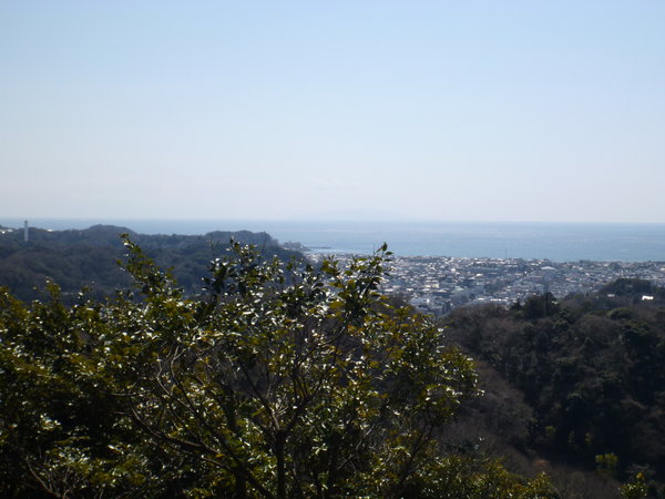 Sagami Bay