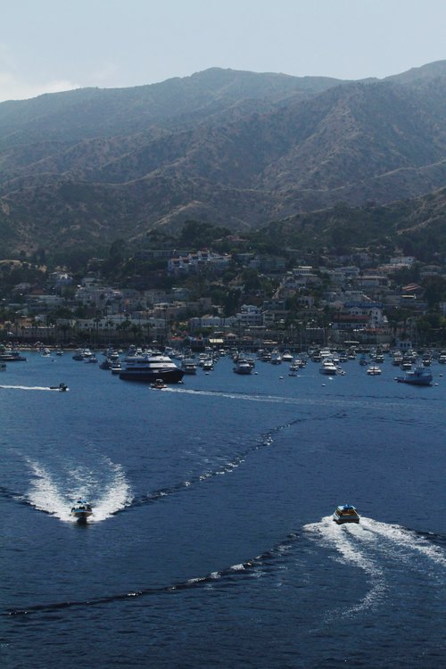 Tenders to Catalina