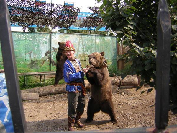 Tame bear at Izmaylovskii Park