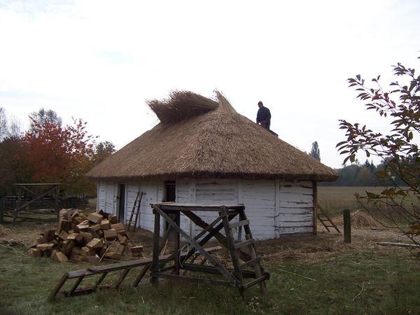 Ancient Barn