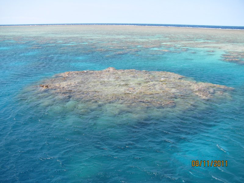 the reef..looks like an opal