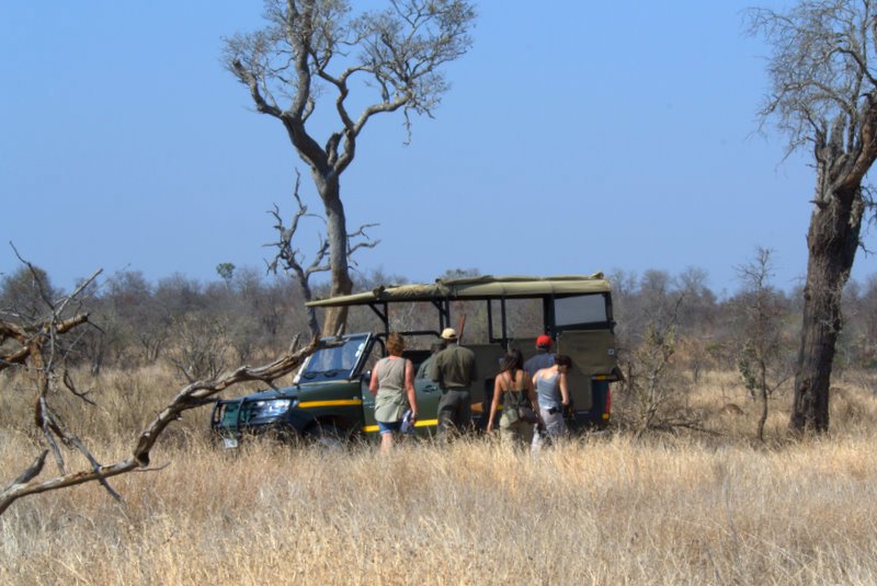 The jeep we did the game drives in