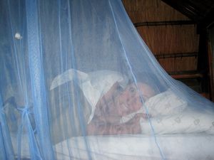 V all bundled up in the mosquito net