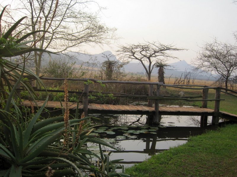 Beautiful pond where the hippos live 