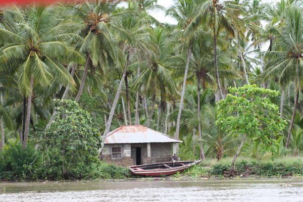 Homes along the River