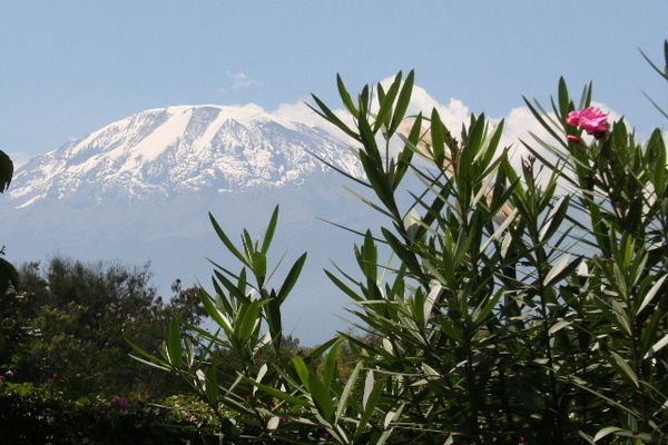 Kilimanjaro... as you step out the back door..