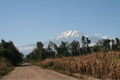 The Road to Machame