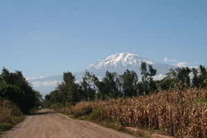 The Road to Machame