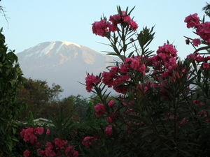 Mt. Kilimanjaro....