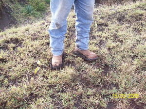 Brent's Boots in the mud....