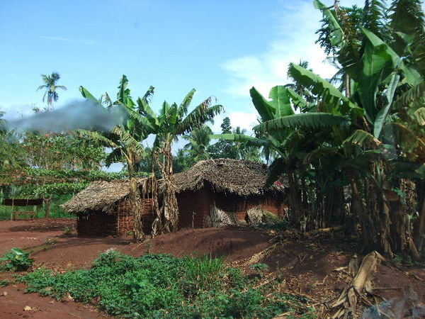 Driving through Villages in the Tanga Region
