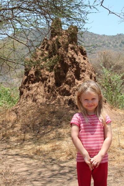 Gracie & The Termite Mound