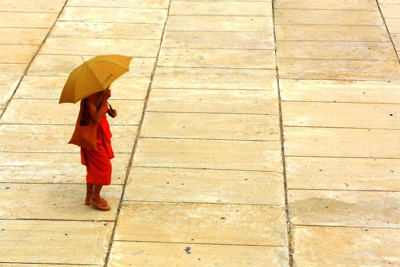 A lone monk protecting himself from the sun