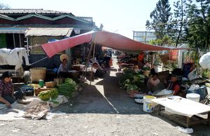 the local market