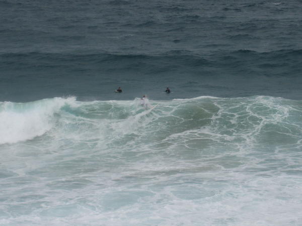 Surfers at bondi