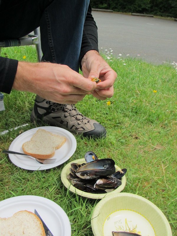 cooking & eating fresh mussels in china beach carpark
